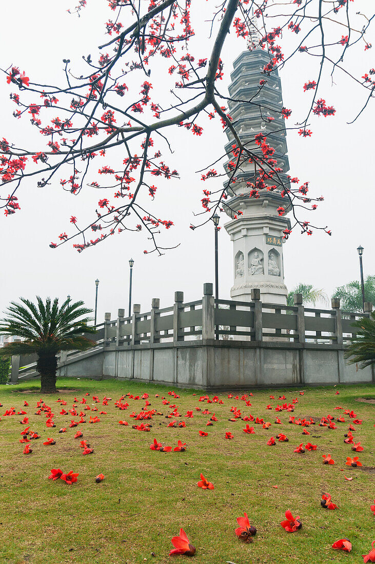 Rote gefallene Blumen im Garten des Nan Pu Tuo Tempels; Xiamen, Provinz Fujian, China