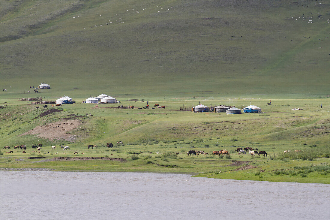 Gers (Jurten) am Orkhon-Fluss, Kharkhorin (Karakorum), vEvv?rkhangai-Provinz, Mongolei