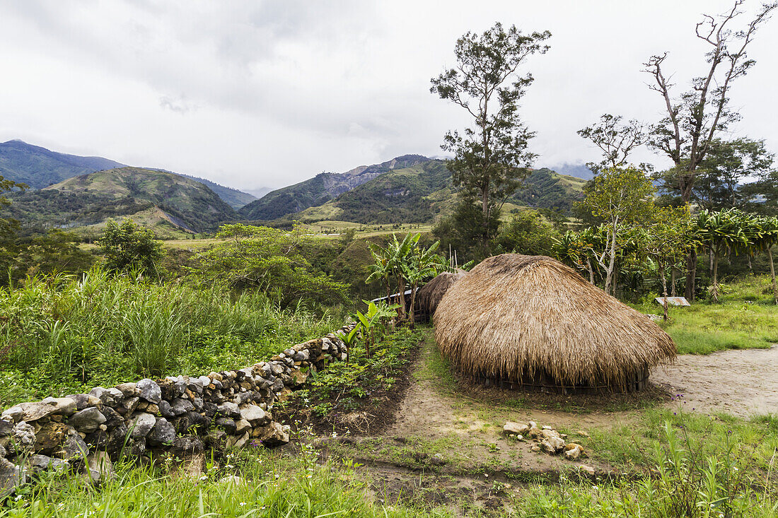 Honai (Hütte) im Baliem-Tal, zentrales Hochland von West-Neuguinea, Papua, Indonesien