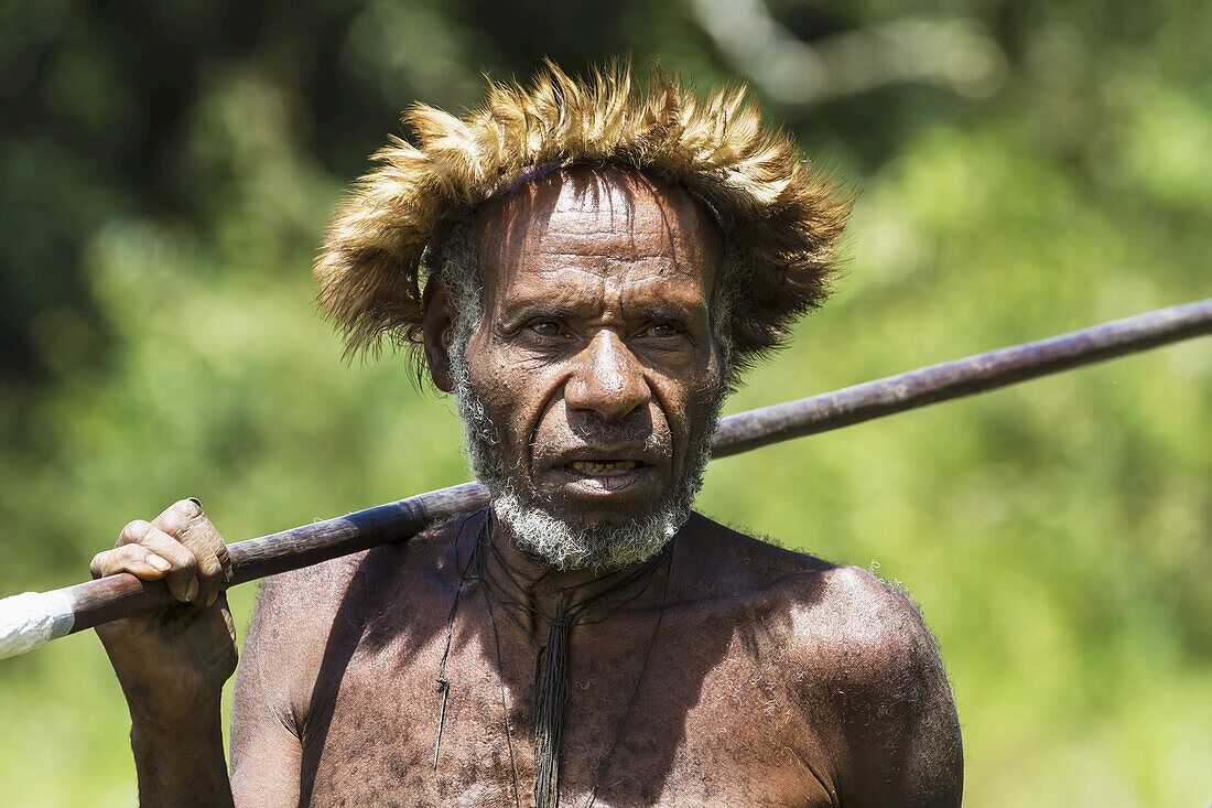 Dani-Mann mit aufwändigem Kopfschmuck aus Paradiesvogel- oder Kasuarfedern, Dorf Obia, Baliem-Tal, Zentrales Hochland von West-Neuguinea, Papua, Indonesien