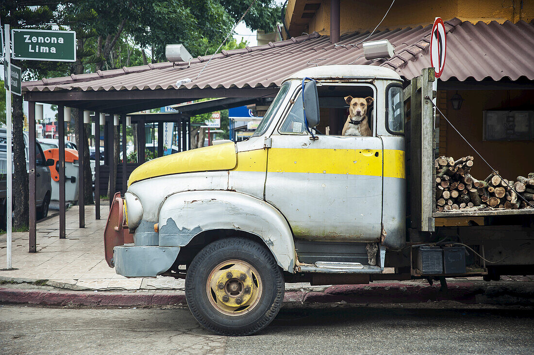 Hund auf dem Vordersitz eines alten Lastwagens in Chui, an der Grenze zwischen Uruguay und Brasilien; Chi Uruguay