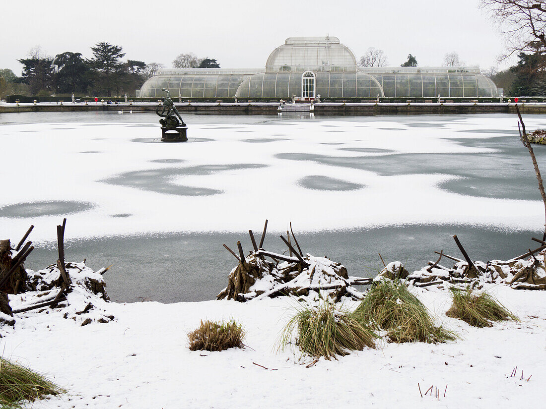 Kew Gardens, Palmenhaus im Winter; London, England