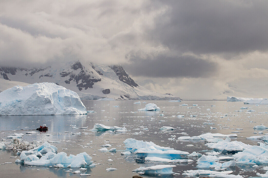 Zodiac Among Icebergs In Neko Harbor, Antarctic Peninsula; Antarctica