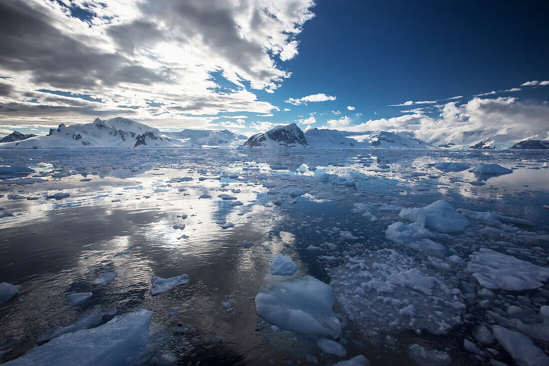 Eisströme in der Gerlache-Straße vor dem Neko-Hafen, Antarktische Halbinsel; Antarktis