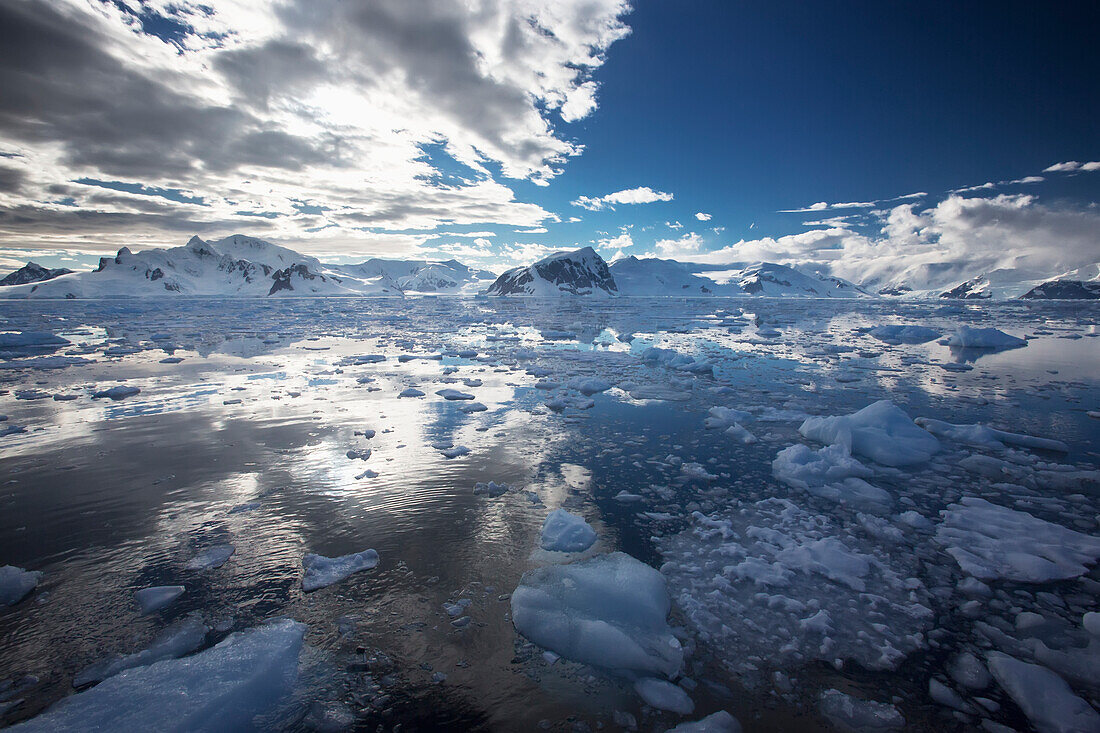 Iceflows In Gerlache Strait In Front Of Neko Harbor, Antarctic Peninsula; Antarctica