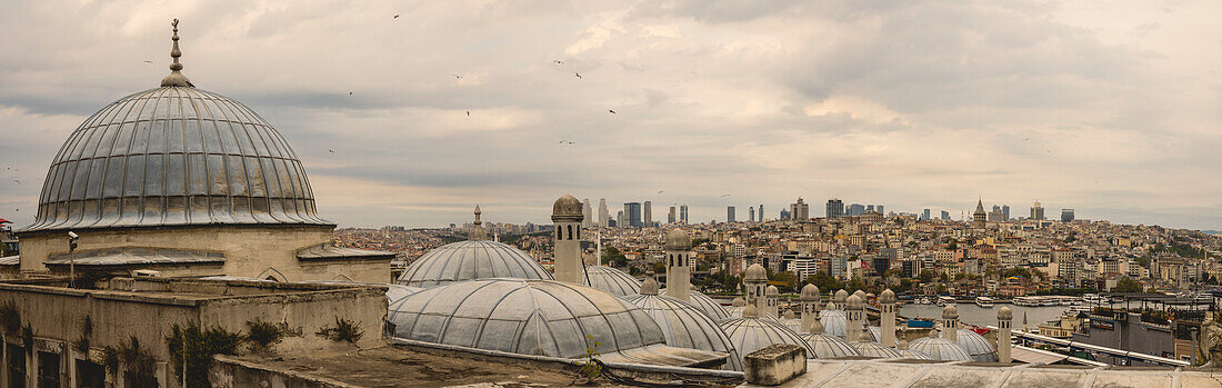 Cityscape of Istanbul viewed from Suleymaniye Mosque; Istanbul, Turkey