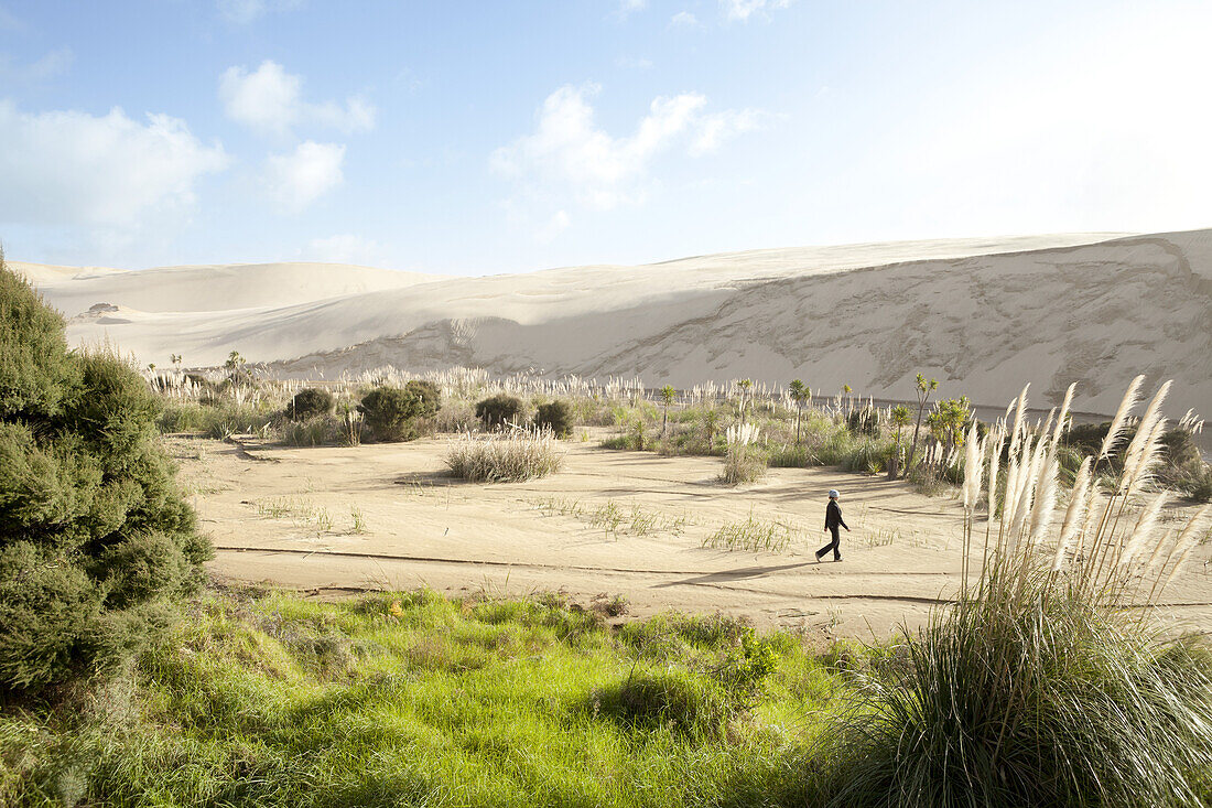 Woman Walking In The Dunes; North Island, New Zealand