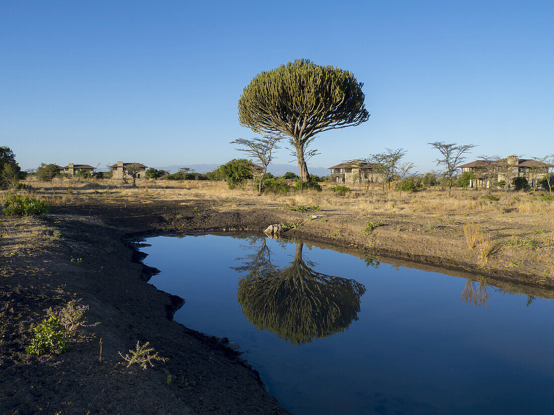 Ol Pejeda Conservancy; Kenya