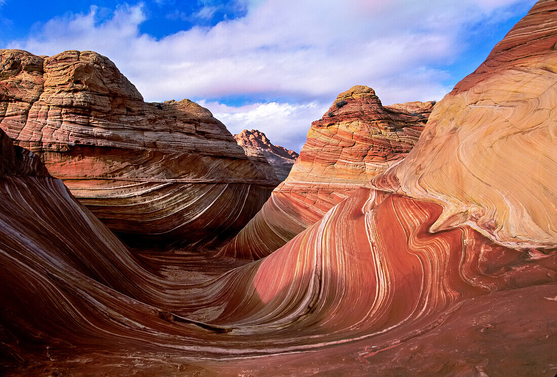 Die spektakuläre Formation mit leuchtenden Farben in Wirbeln aus brüchigem Sandstein ist als The Wave bekannt und befindet sich im Abschnitt Coyote Buttes des Vermilion Cliffs National Monument. Ein unmarkierter Wildnispfad begrenzt Wanderer und erfordert eine Genehmigung des Bureau of Land Management; Arizona, Vereinigte Staaten von Amerika