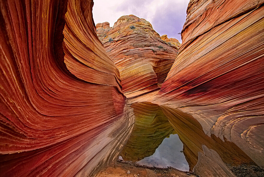 Spectacular formation of vibrant colors in swirls of fragile sandstone is known as The Wave and is located in the Coyote Buttes section of Vermilion Cliffs National Monument. An unmarked wilderness trail limits hikers and requires a permit from the Bureau of Land Management; Arizona, United States of America