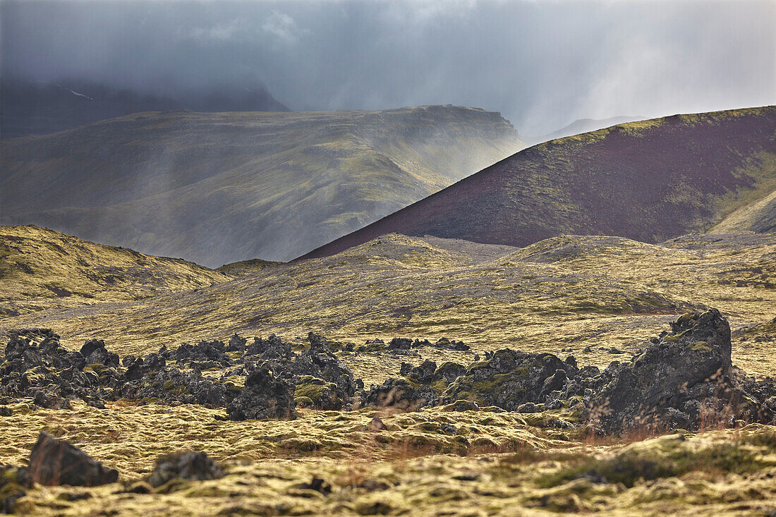 Rain falls over the Berserkjahraun lava field on the Snaefellsnes peninsula, western Iceland; Iceland