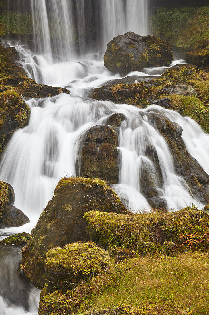 Moosbewachsener Fels und die raue Schönheit des Hafrafell-Wasserfalls in den Bergen bei Stykkisholmur, Halbinsel Snaefellsnes im Westen Islands; Island