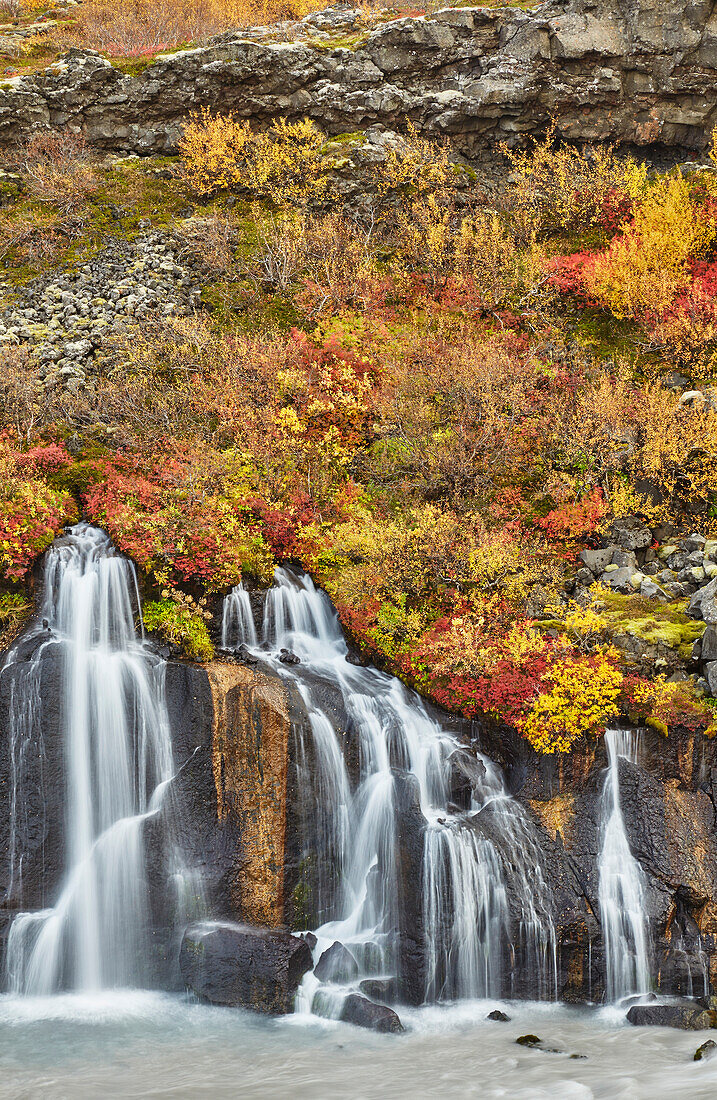 Hraunfossar Falls, near Reykholt, in west Iceland; Iceland