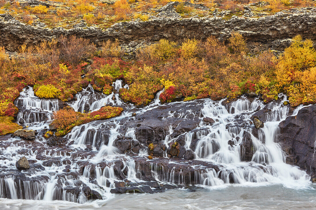 Hraunfossar Falls, near Reykholt, in west Iceland; Iceland