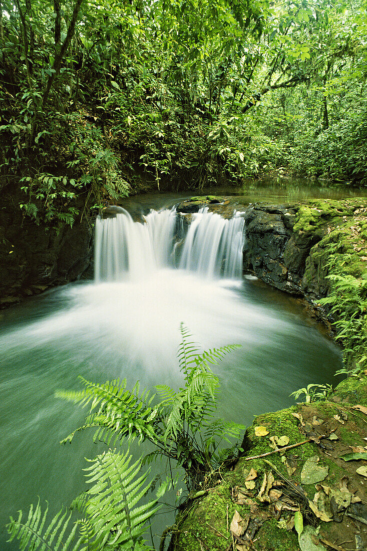 Rainforest waterfall in Costa Rica; Costa Rica