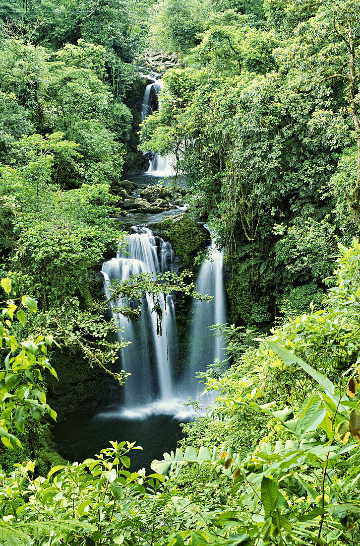 Reihe von Wasserfällen im Regenwald von Costa Rica; Costa Rica