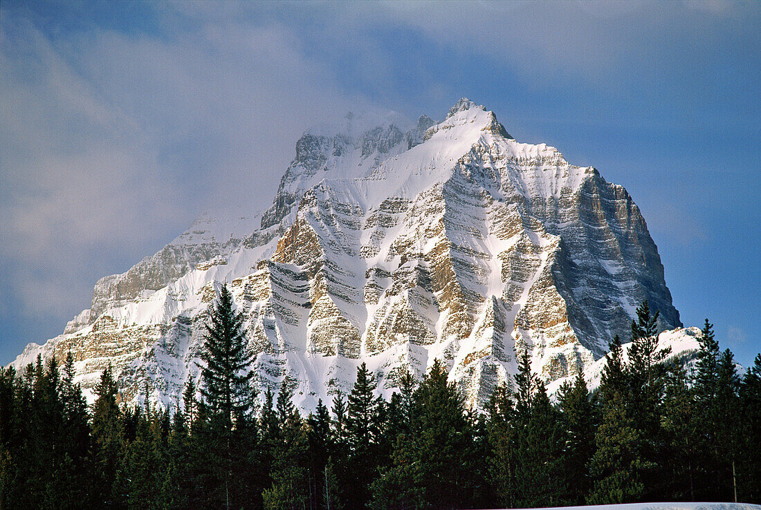 Schneebedeckter Berggipfel über einem immergrünen Wald in den kanadischen Rockies, Banff National Park; Alberta, Kanada