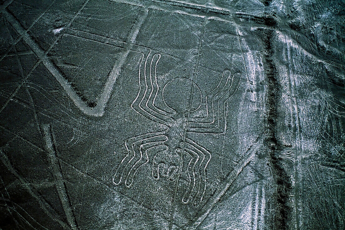 Mysteriöse Nazca-Linien bilden eine Spinne, eine von vielen tierischen und geometrischen Formen, die man am besten in der Luft in der südlichen Wüste Perus sieht.  Anthropologen glauben, dass die Nazca-Kultur, die sie schuf, um 100 v. Chr. begann und von 1 bis 700 n. Chr. blühte. Sie wurden mit hellem Sand hergestellt, als der oberste Fuß des Felsens von einer alten Kultur abgetragen wurde; Nazca, Peru