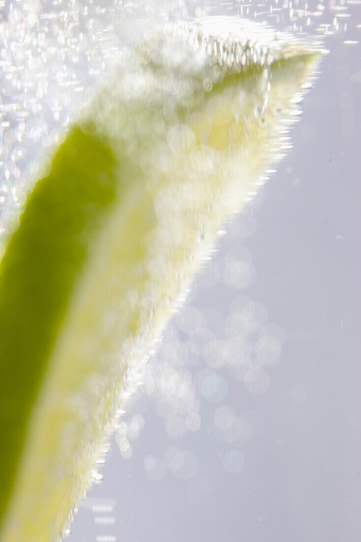 Extreme close up of a slice of lime floating in sparkling water