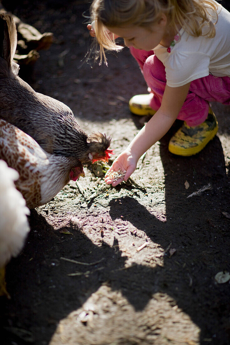 Junges Mädchen füttert Hühner