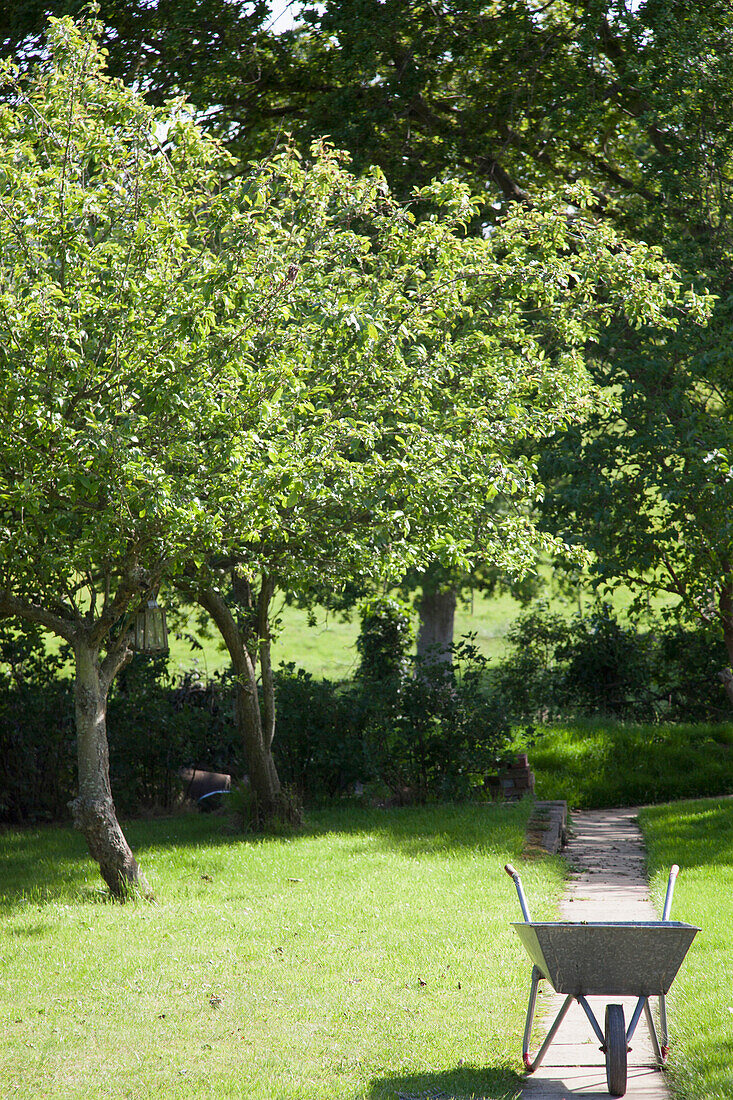 Wheelbarrow in sunny Garden