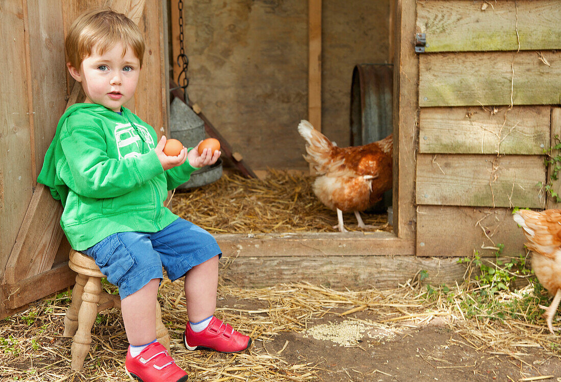 Boy Sitting Outside Chicken Coop Holding Eggs