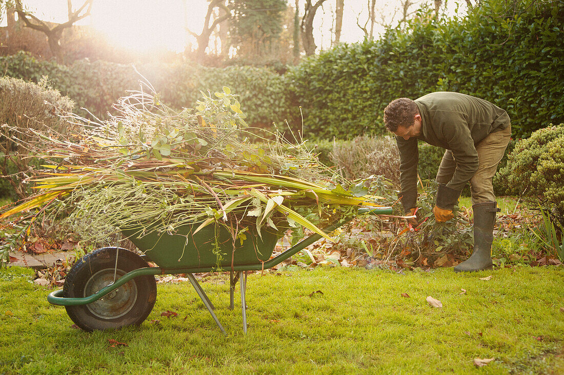 Gardener Removing Weeds