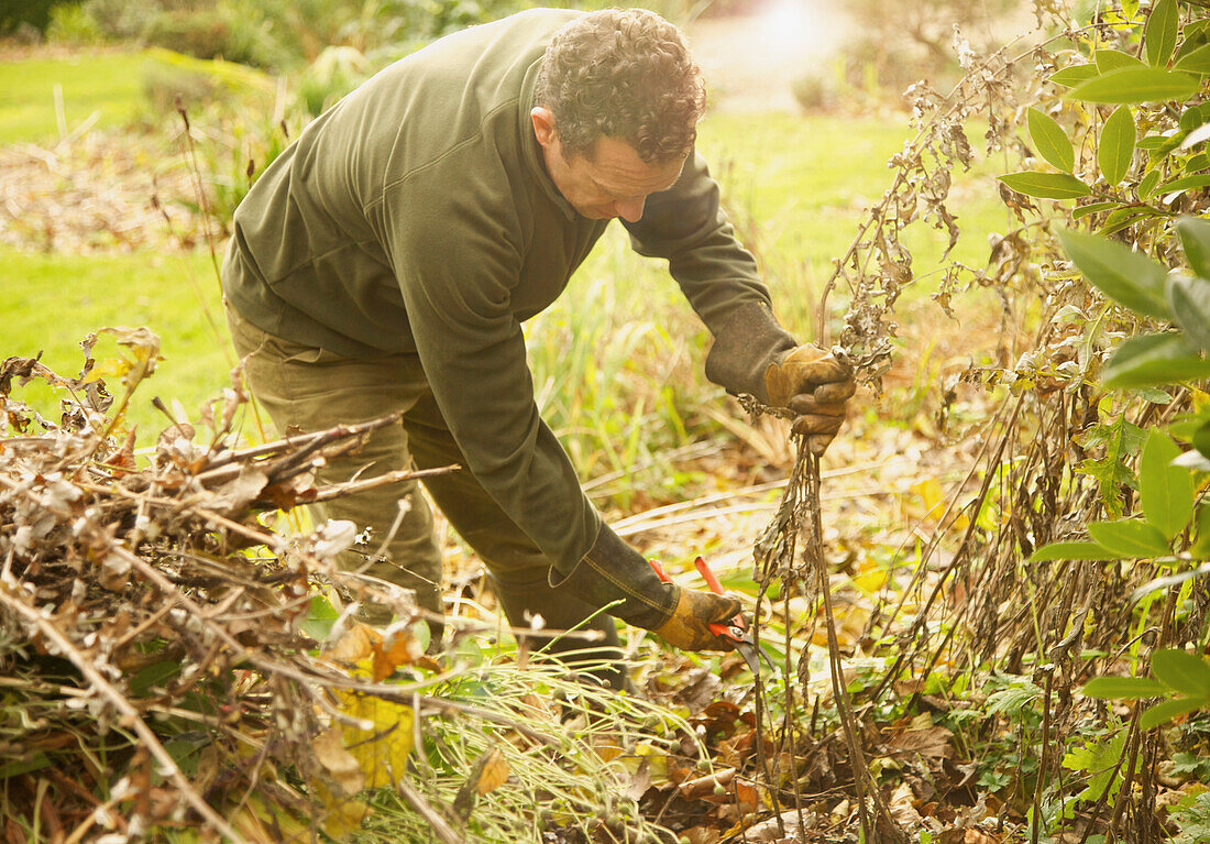 Gardener Cutting Weeds