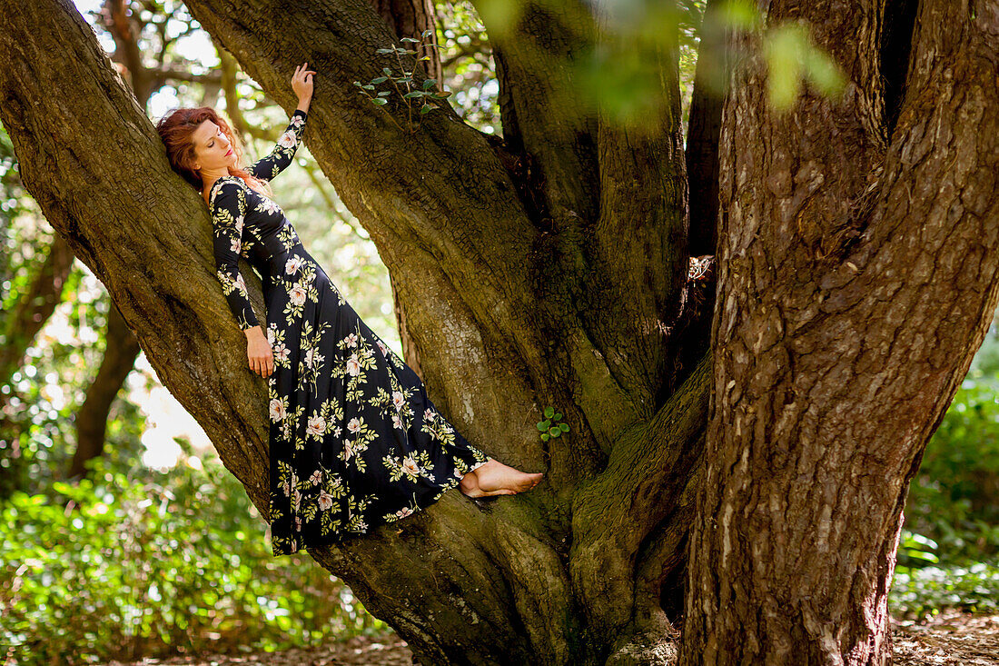 Woman in Floral Dress Leaning on Tree Trunk in Forest