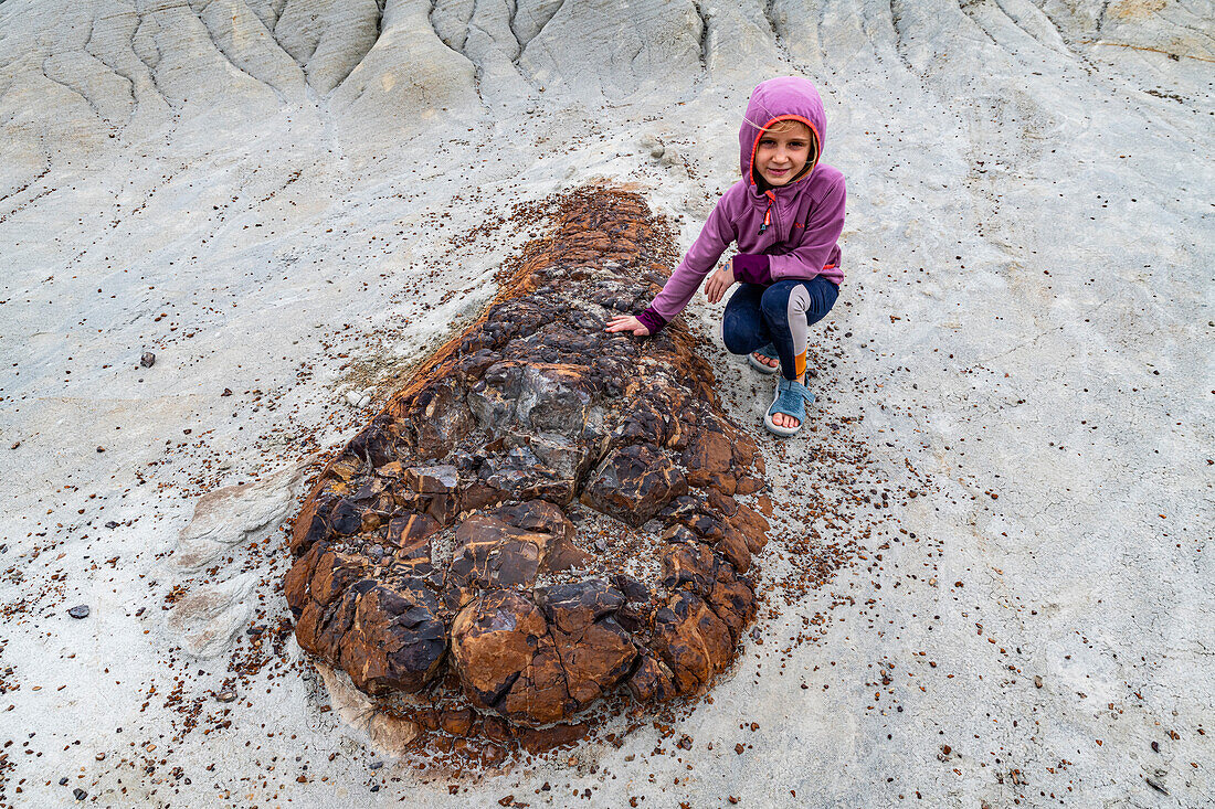 Girl at a Dinosaur fossil, Dinosaur Provincial Park, UNESCO World Heritage Site, Alberta, Canada, North America