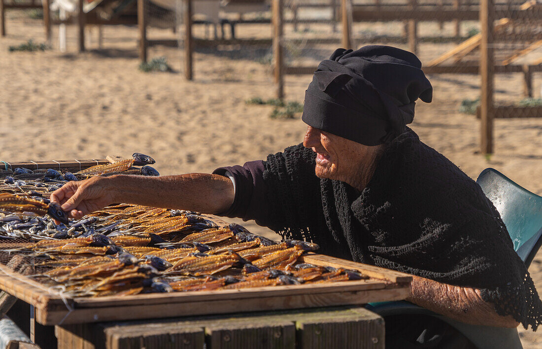 Local woman sun drying fish in the fishing village of Nazare, Oeste, Portugal, Europe