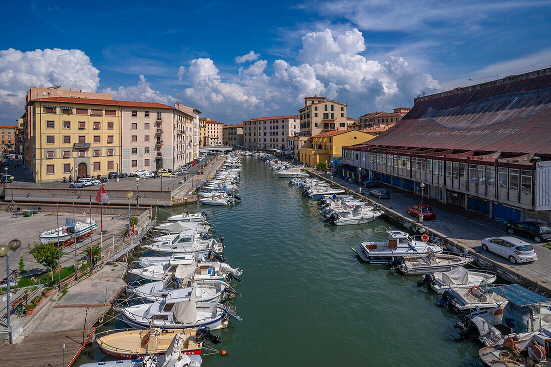 View from Punto Panoramico Ponte Santa Trinita, Livorno, Province of Livorno, Tuscany, Italy, Europe