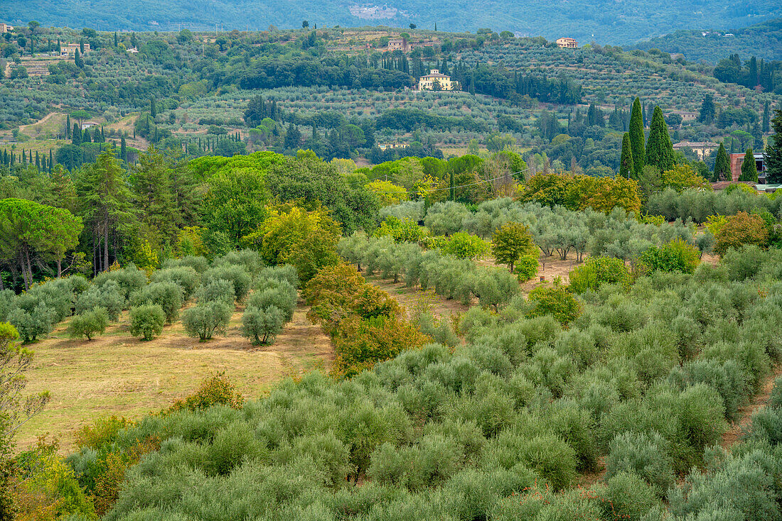 View of Tuscan landscape from Passeggio del Prato, Arezzo, Province of Arezzo, Tuscany, Italy, Europe