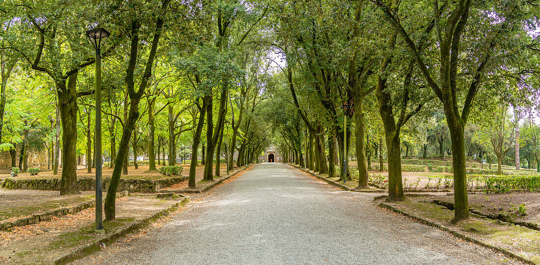 View of Passeggio del Prato, Arezzo, Province of Arezzo, Tuscany, Italy, Europe