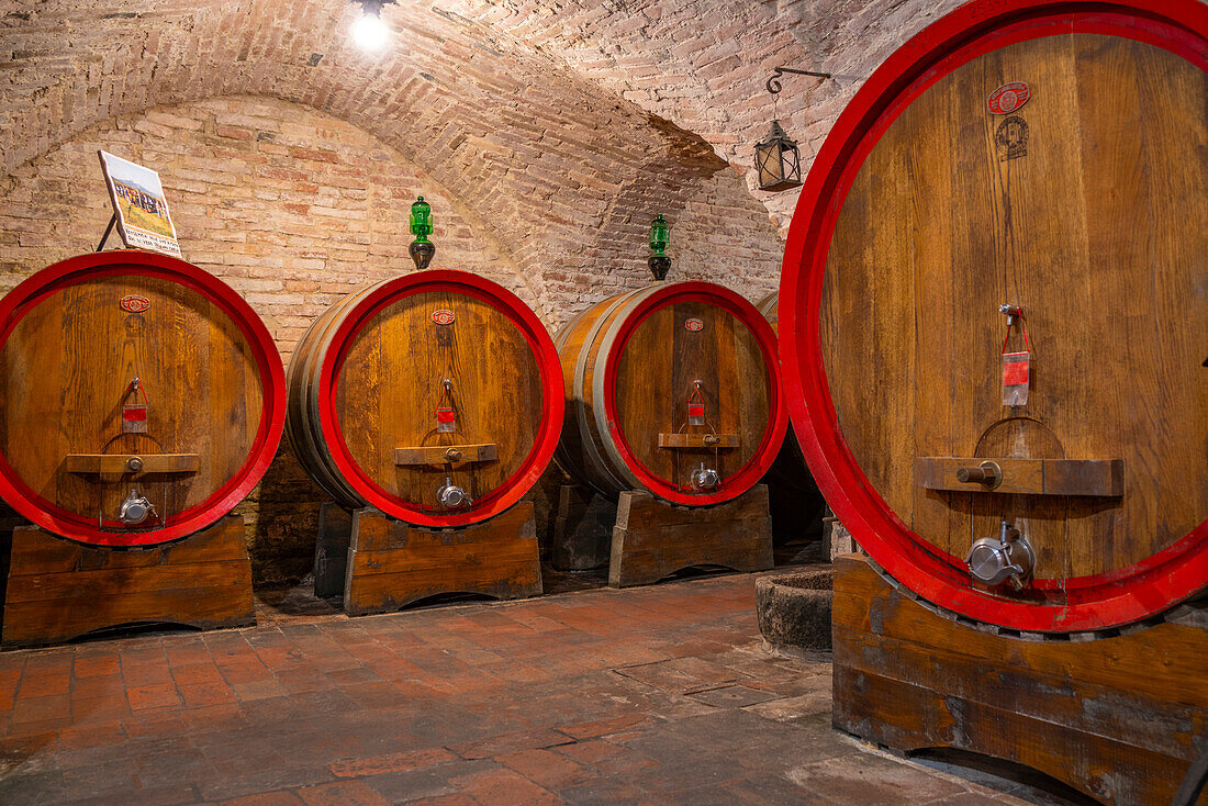 View of wine barrels in cellar at Cantina Ercolani, wine shop and museum in Montepulciano, Montepulciano, Province of Siena, Tuscany, Italy, Europe