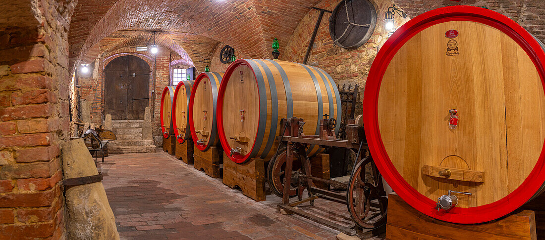 View of wine barrels in cellar at Cantina Ercolani, wine shop and museum in Montepulciano, Montepulciano, Province of Siena, Tuscany, Italy, Europe