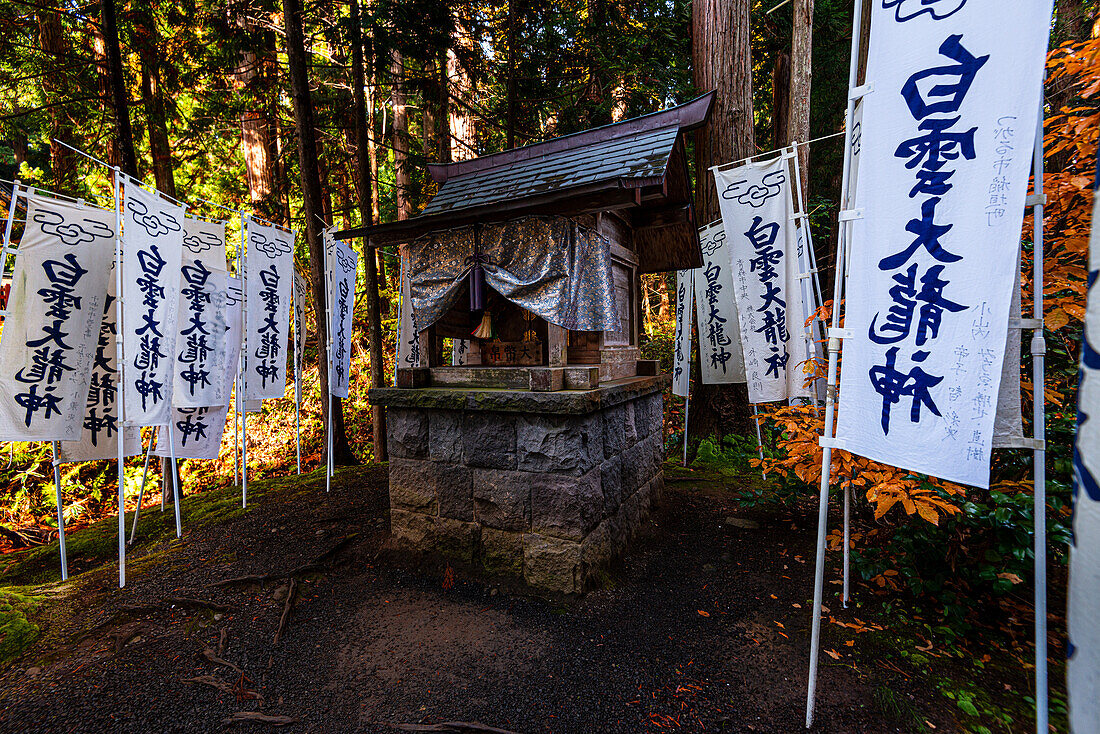 Kleiner Shinto-Schrein in einem Wald, umgeben von weißen Kanji-Bannern, Japan, Asien