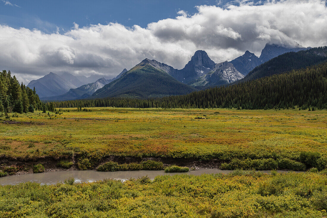 Moose Meadows with Mount Engadine, Spray Valley Provincial Park, Canadian Rockies, Alberta, Canada, North America