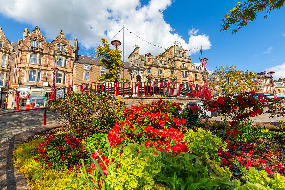 Flowers at James Square, Crieff, Perthshire, Scotland, United Kingdom, Europe