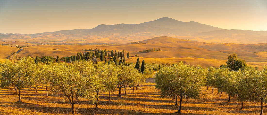 Blick auf eine goldene toskanische Landschaft bei Pienza, Pienza, Provinz Siena, Toskana, Italien, Europa