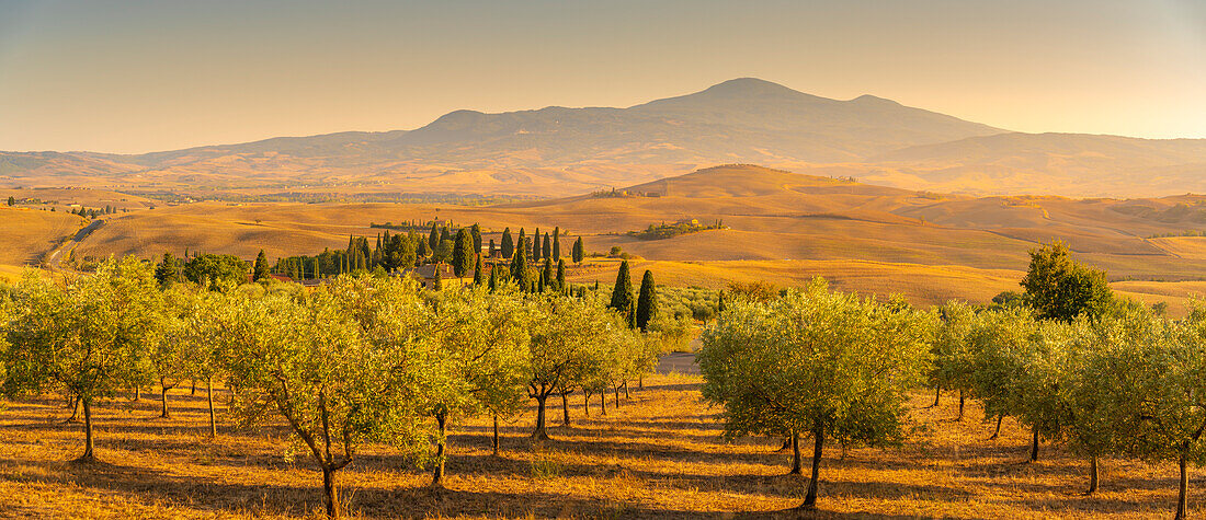 View of golden Tuscan landscape near Pienza, Pienza, Province of Siena, Tuscany, Italy, Europe