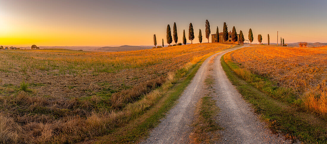 View of cypress trees in landscape near Pienza, Val d'Orcia, UNESCO World Heritage Site, Province of Siena, Tuscany, Italy, Europe