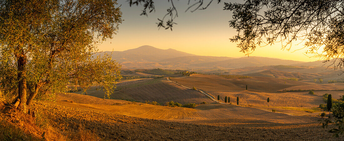 Blick auf eine goldene toskanische Landschaft bei Pienza, Pienza, Provinz Siena, Toskana, Italien, Europa