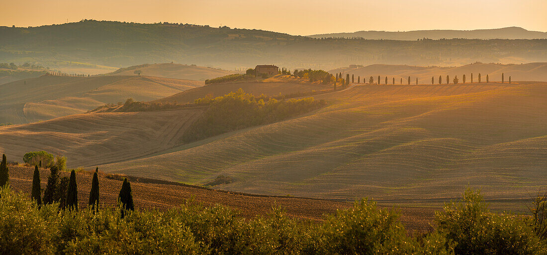 Blick auf eine goldene toskanische Landschaft bei Pienza, Pienza, Provinz Siena, Toskana, Italien, Europa