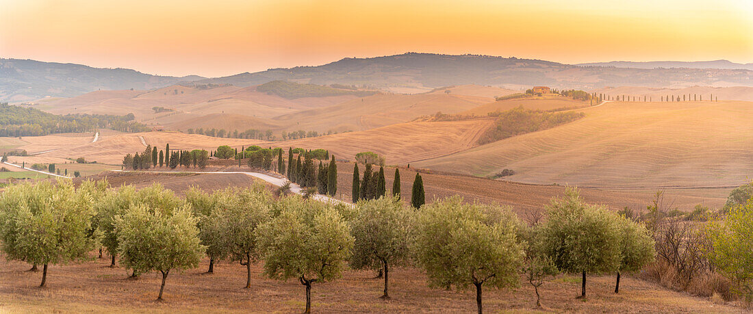 Blick auf eine goldene toskanische Landschaft bei Pienza, Pienza, Provinz Siena, Toskana, Italien, Europa