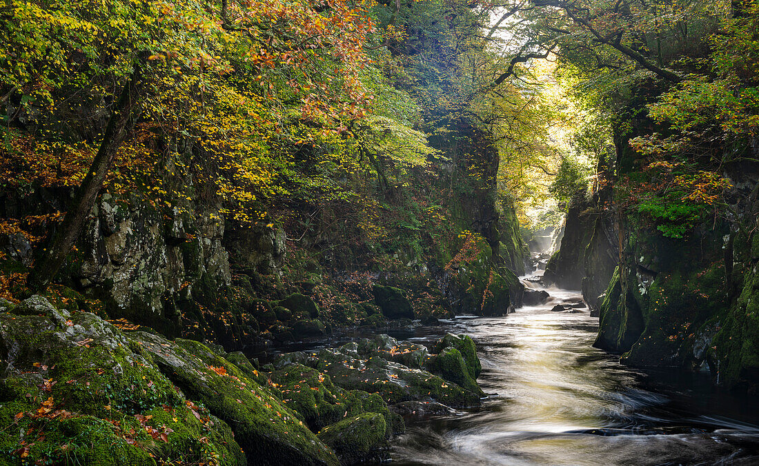 Fairy Glen, Betws y Coed, Conwy, Snowdonia, Wales, United Kingdom, Europe