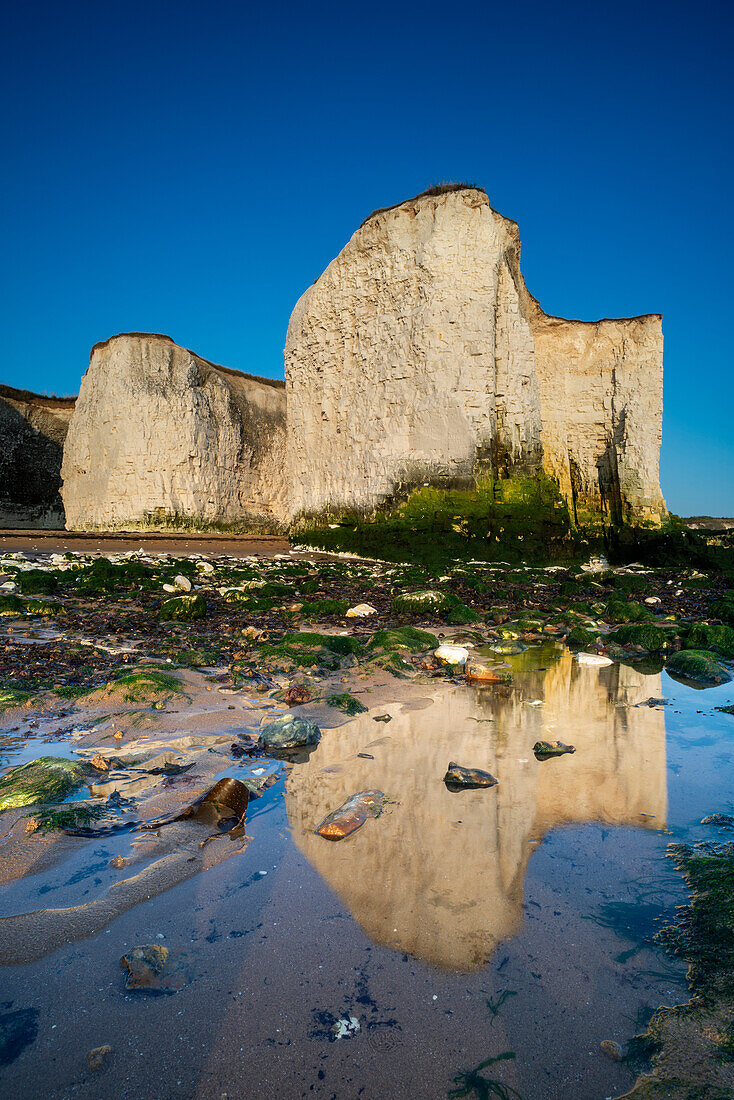 Chalk cliffs reflected, Botany Bay, Broadstairs, Kent, England, United Kingdom, Europe