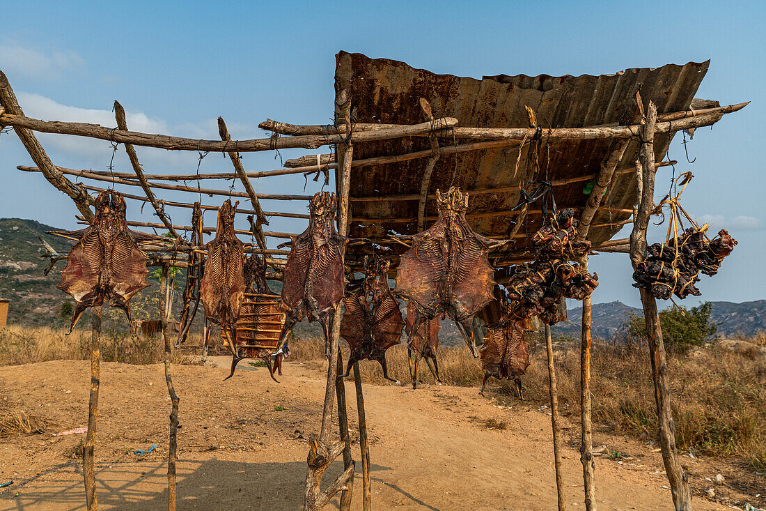 Getrocknete Ratten zum Verkauf, Sumbe, Kwanza Sul, Angola, Afrika