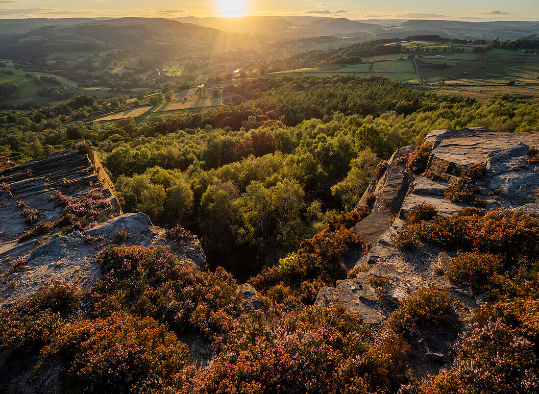 Blick in Richtung Hathersage und Hope Valley im Abendsonnenlicht von Millstone Edge mit blühendem Heidekraut, Peak District National Park, Derbyshire, England, Vereinigtes Königreich, Europa