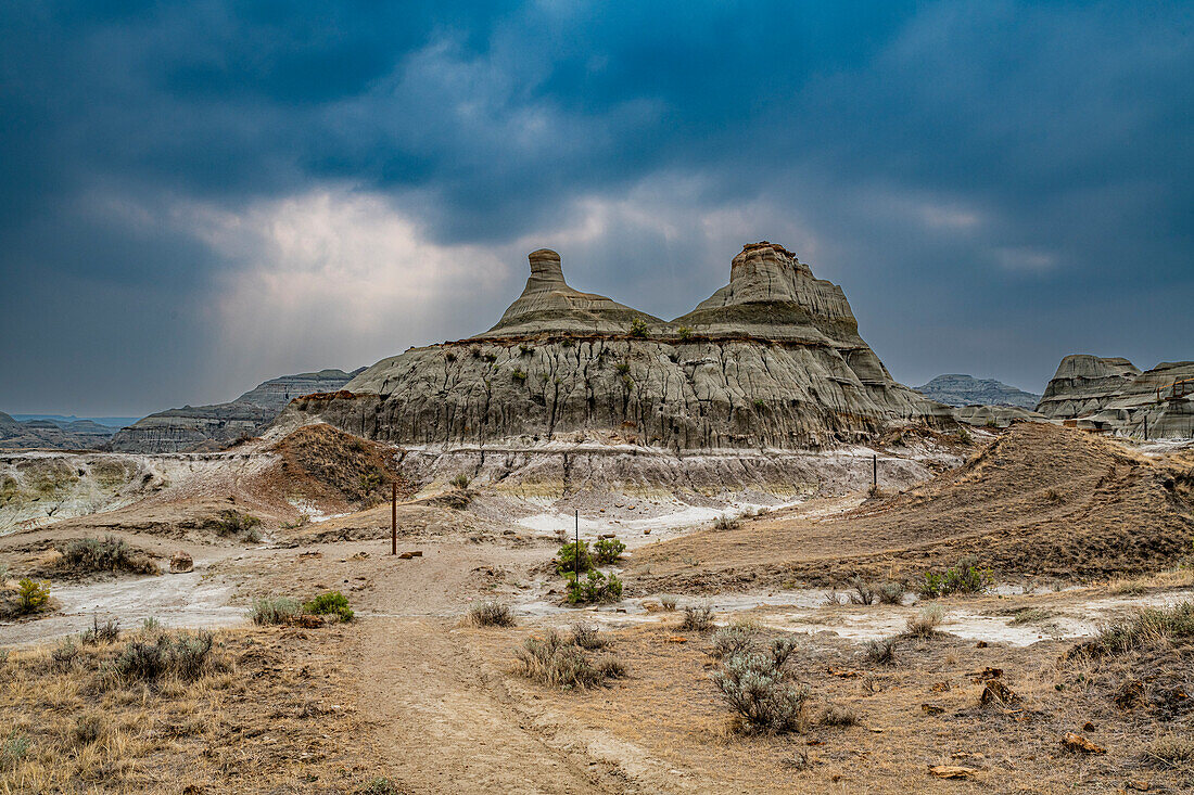 Eroded landscape in the Dinosaur Provincial Park, UNESCO World Heritage Site, Alberta, Canada, North America